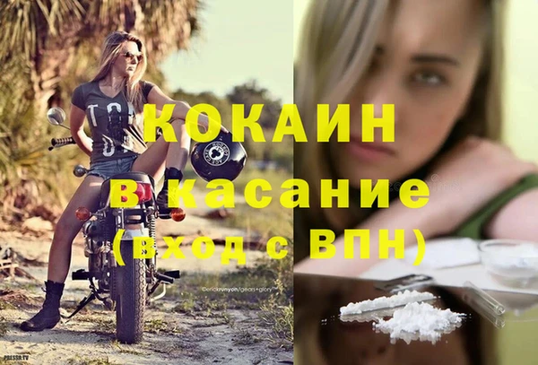 твердый Абаза