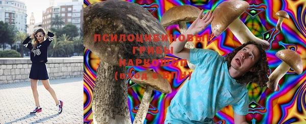 твердый Абаза