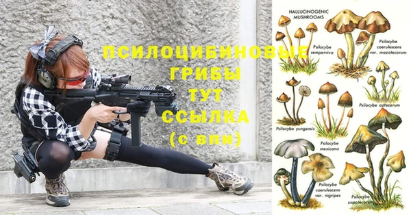 спиды Абдулино