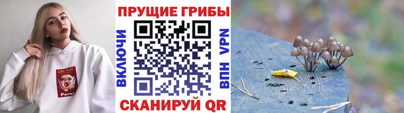 блэк спрут рабочий сайт  Тобольск  Псилоцибиновые грибы прущие грибы  закладки 